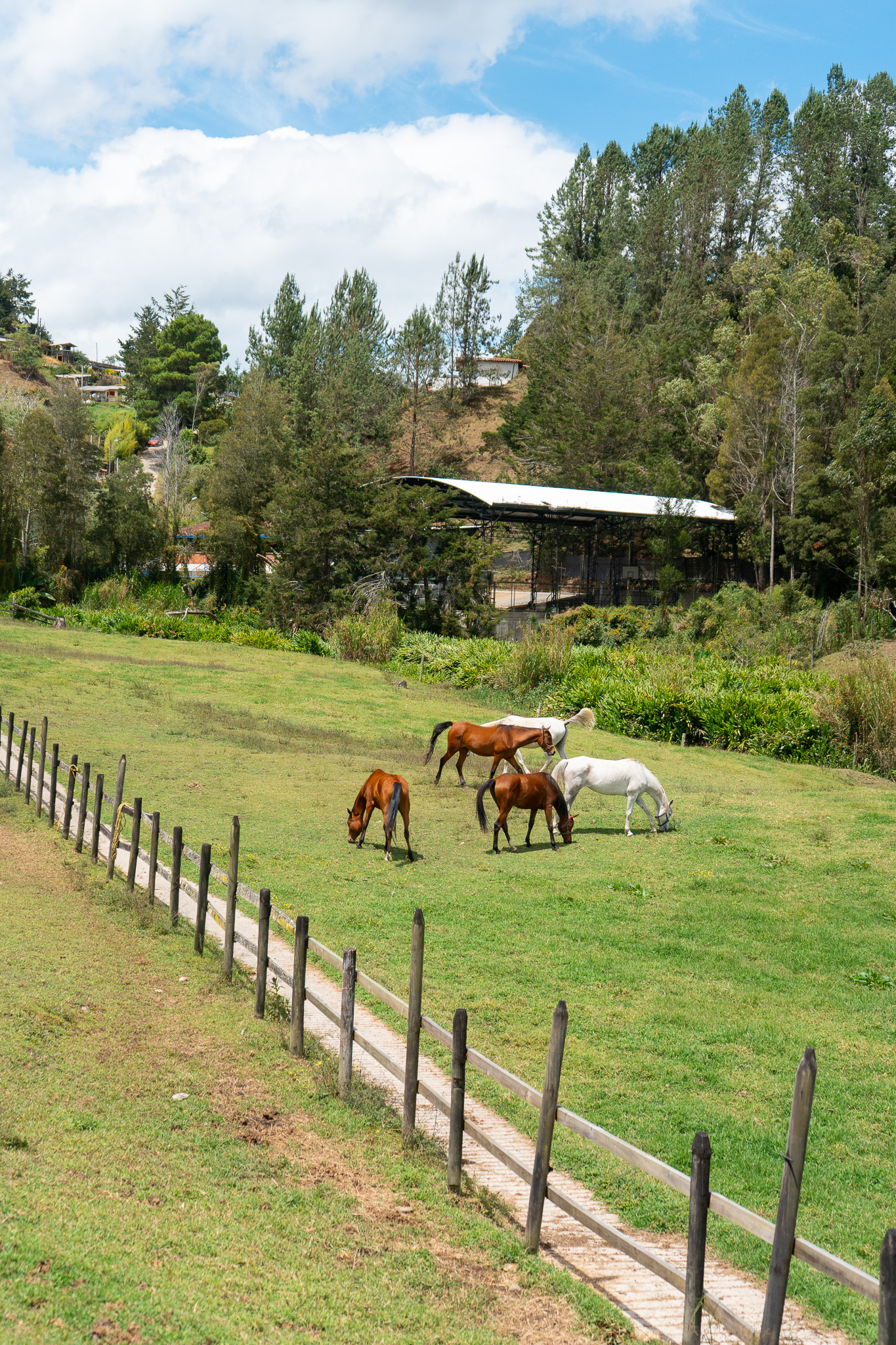 Cabalgata en Arabian Lodge